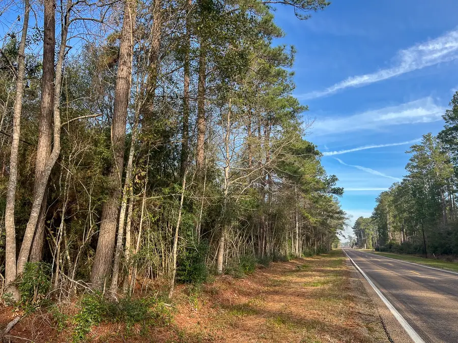 T-9 & 10 Fm 787, Saratoga, TX 77585 - #2