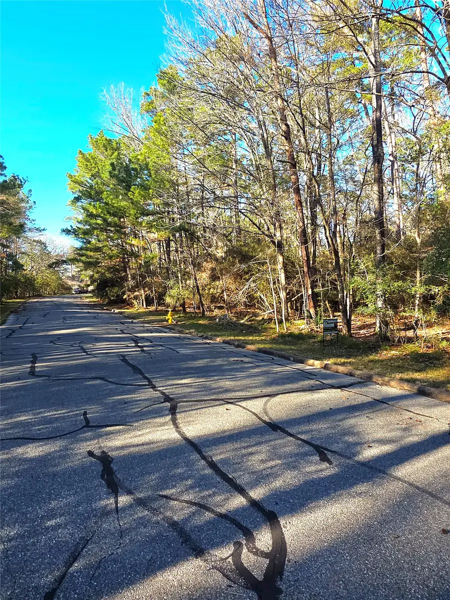 TBD Burmuda Dune Drive, Huntsville, TX 77320 - #2