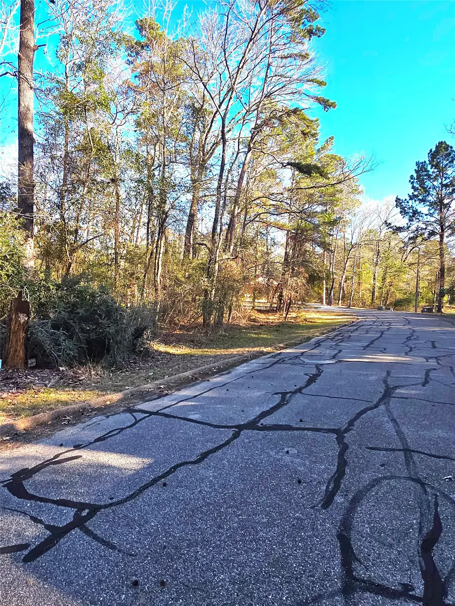 TBD Burmuda Dune Drive, Huntsville, TX 77320 - #3