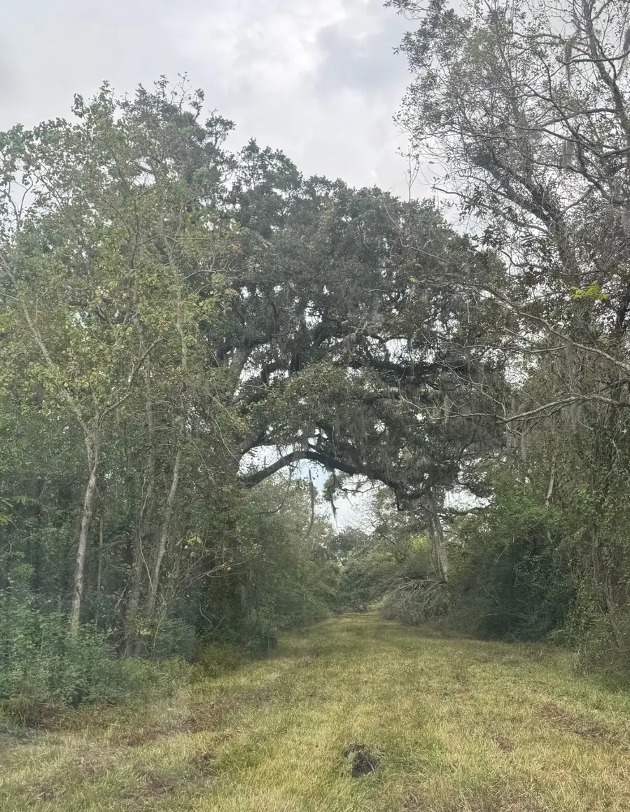 408 Fm 522, West Columbia, TX 77486 - Image #2