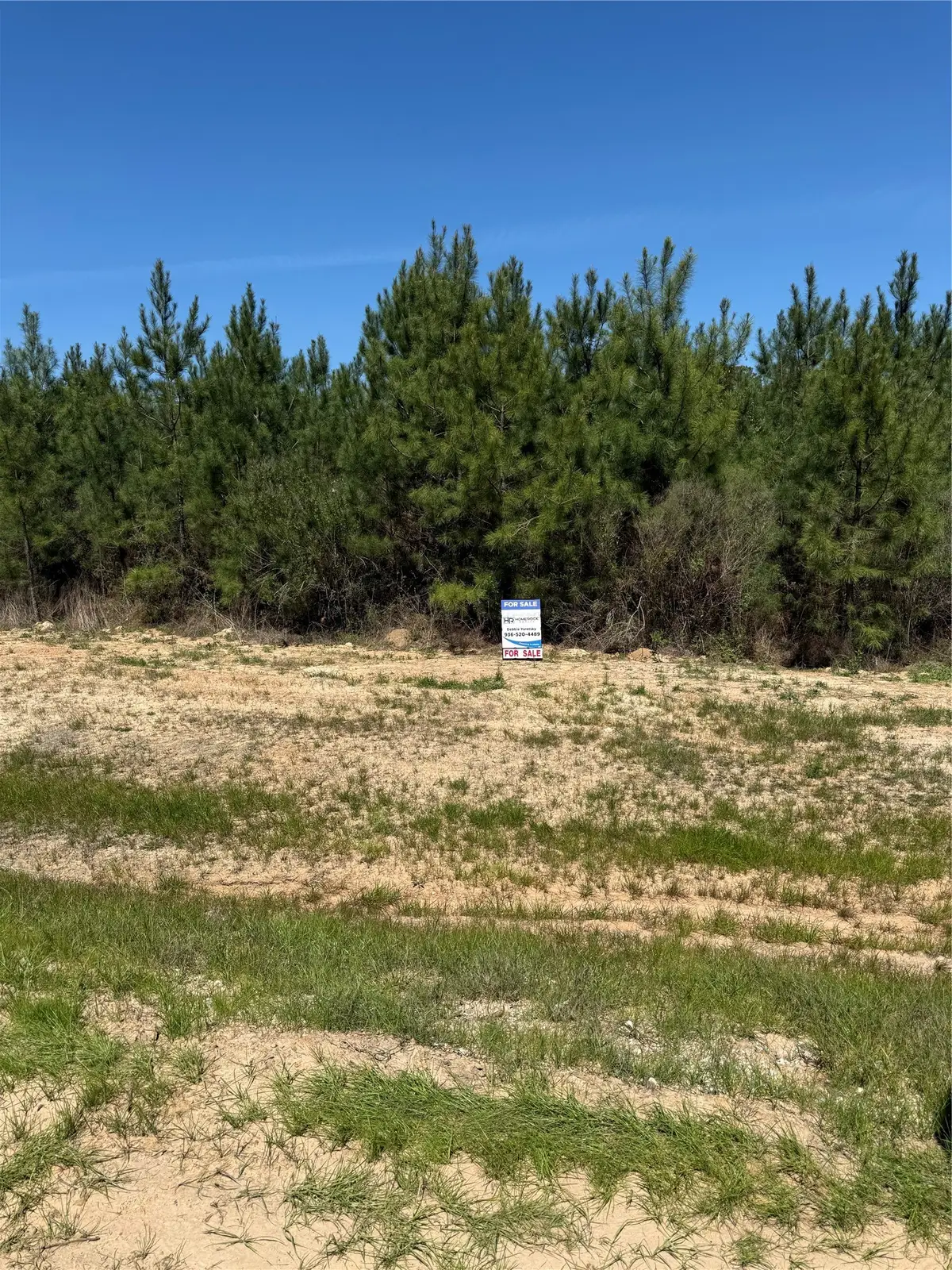 11707 Inspiration Dr Drive, Willis, TX 77378 - #1