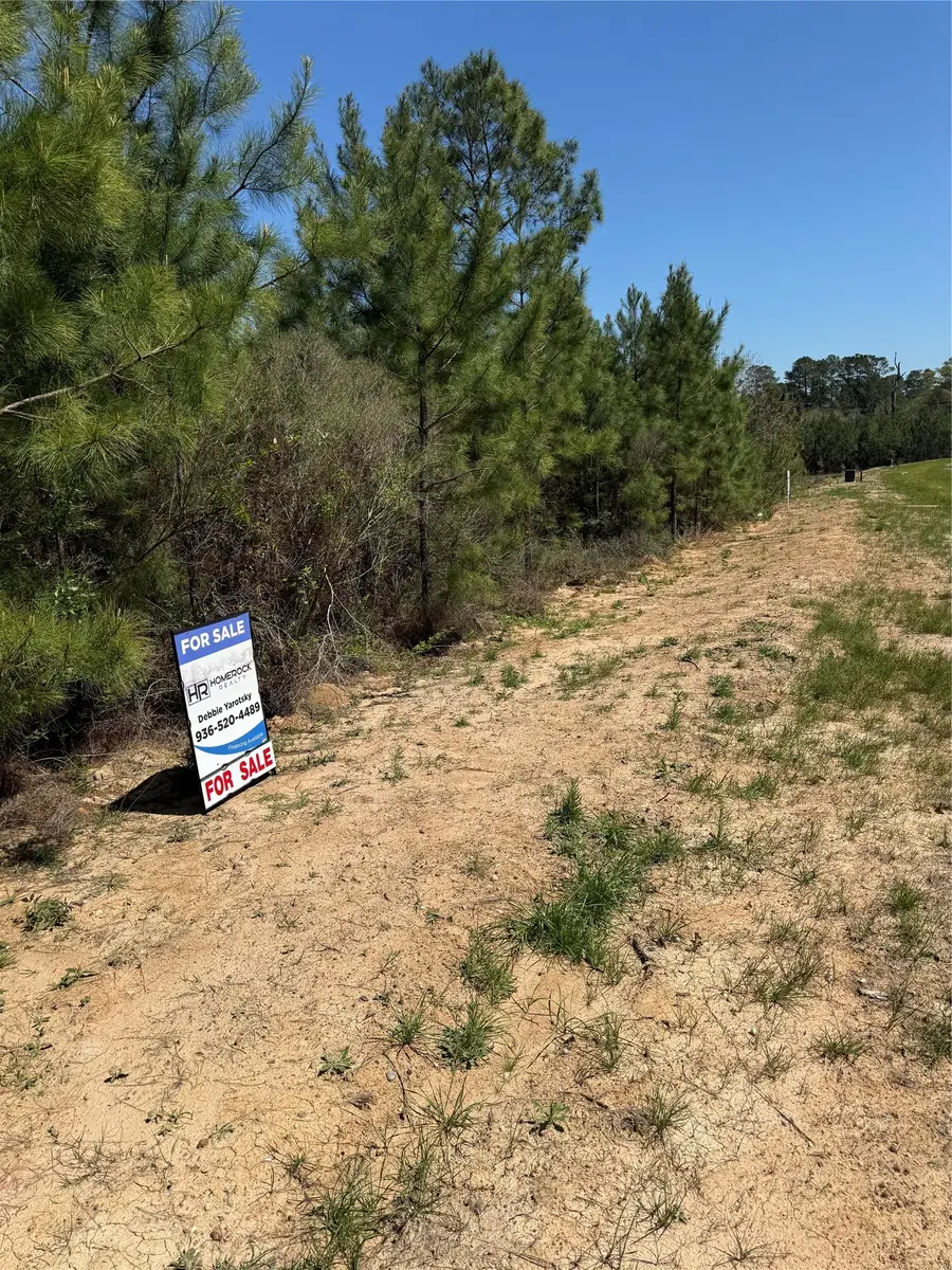 11707 Inspiration Dr Drive, Willis, TX 77378 - #2