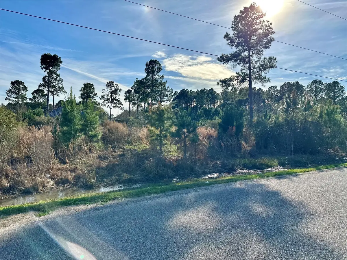 TBD County Road 3479a, Cleveland, TX 77327 - #1