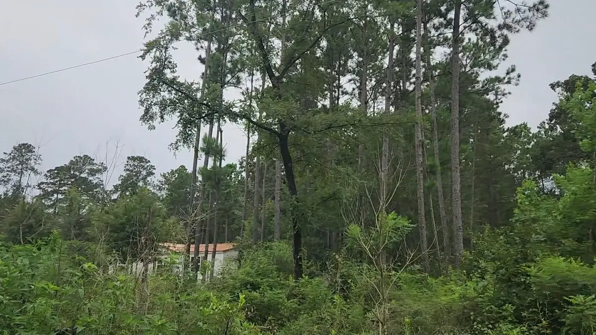Lot 11 Scarlet Oak Drive, Plantersville, TX 77363 - #1