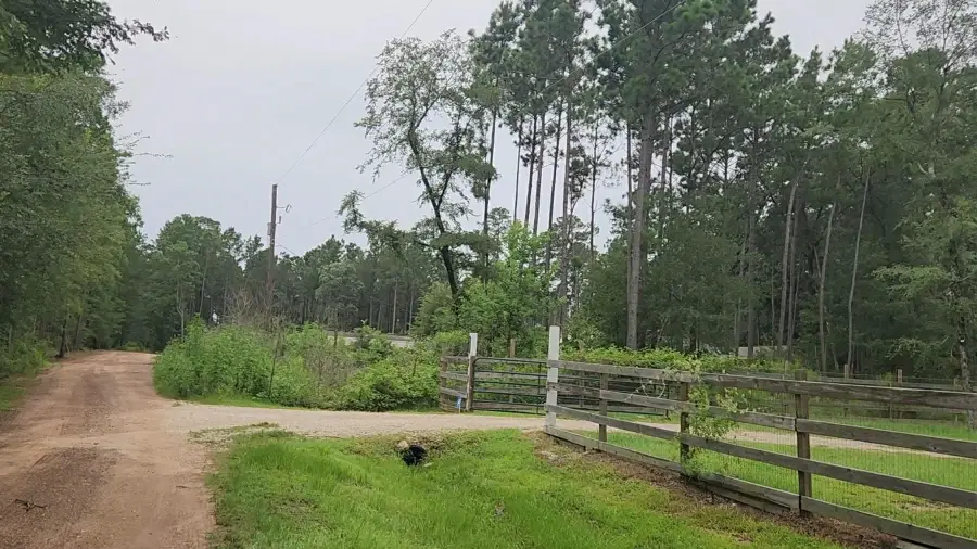 Lot 11 Scarlet Oak Drive, Plantersville, TX 77363 - #3