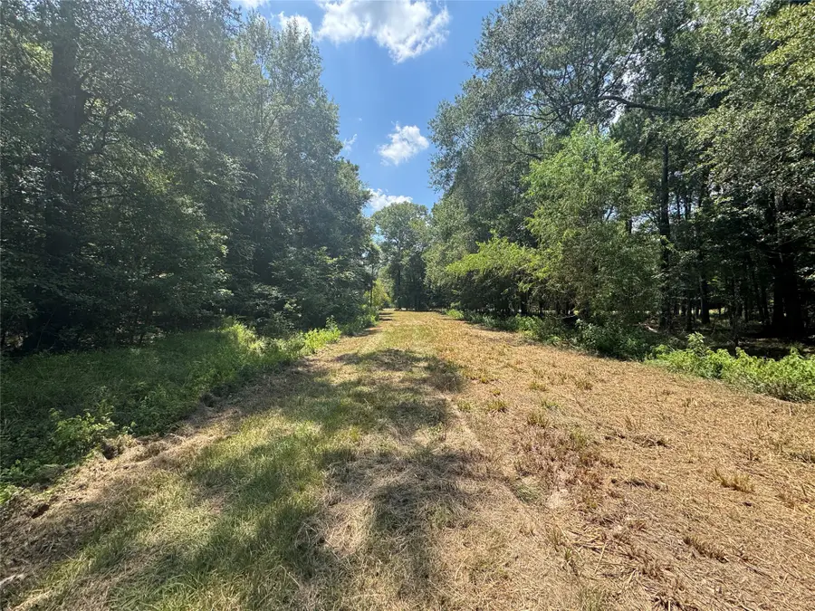 TBD Cr 3141 W Road, Cleveland, TX 77327 - #2
