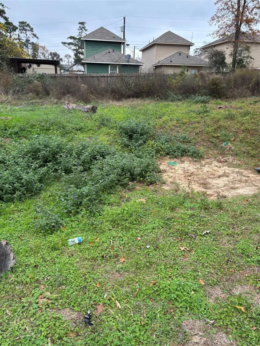 16712 E Ivanhoe, Montgomery, TX 77316 - #3