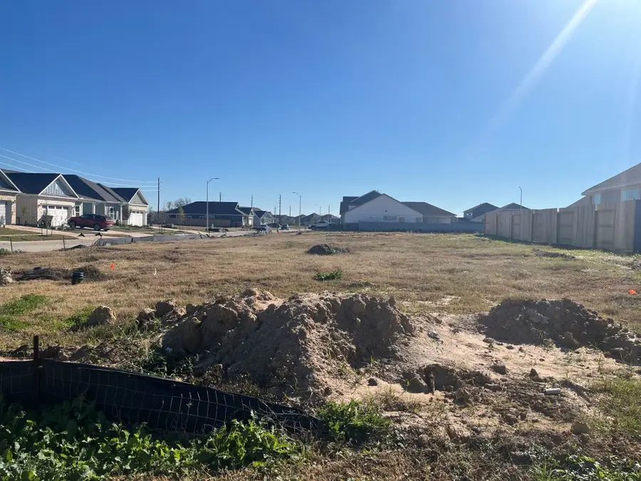 32303 Clouser Minnow Court, Fulshear, TX 77441 - Image #2