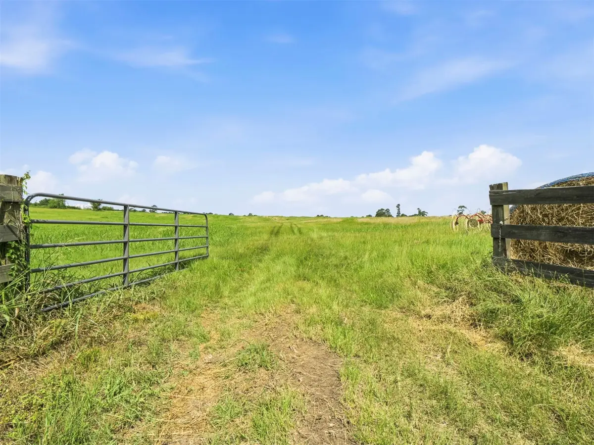 17133 Fm 149, Montgomery, TX 77356 - #1
