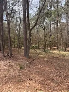 148 Brook Hollow Drive, Huntsville, TX 77340 - #3