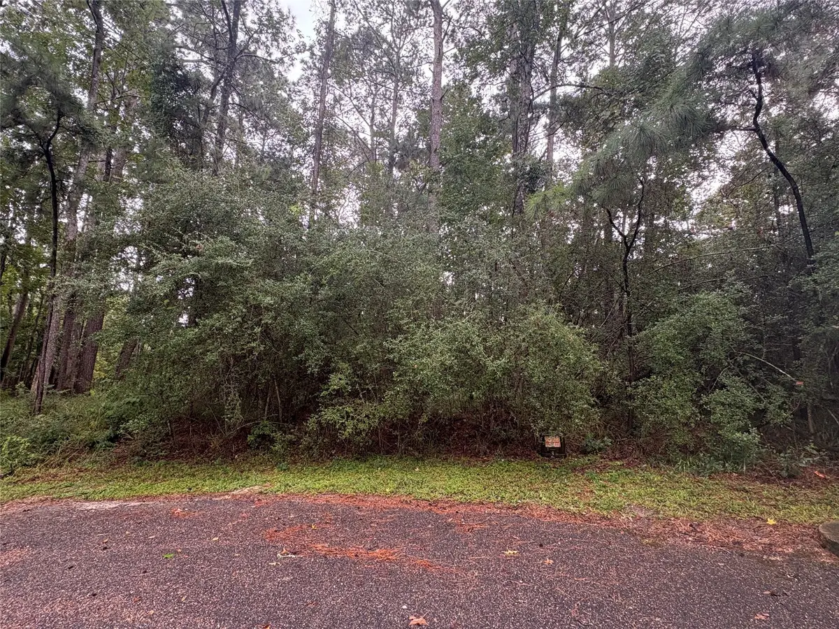 22 & 23 Helena Court, Coldspring, TX 77331 - Image #1