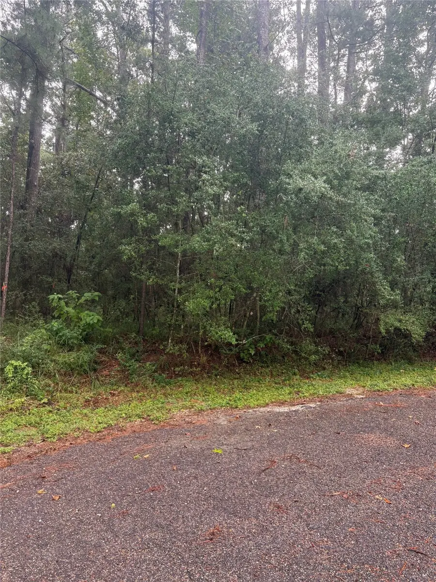 22 & 23 Helena Court, Coldspring, TX 77331 - Image #2