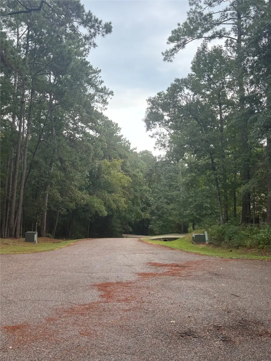 22 & 23 Helena Court, Coldspring, TX 77331 - Image #3