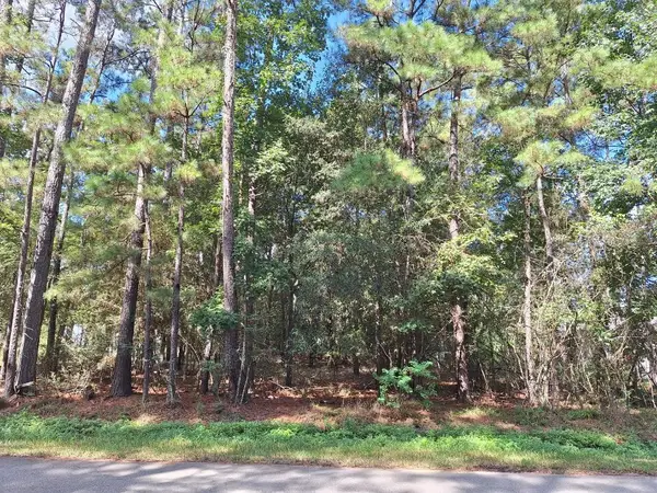1023 Weisinger Drive, Montgomery, TX 77354