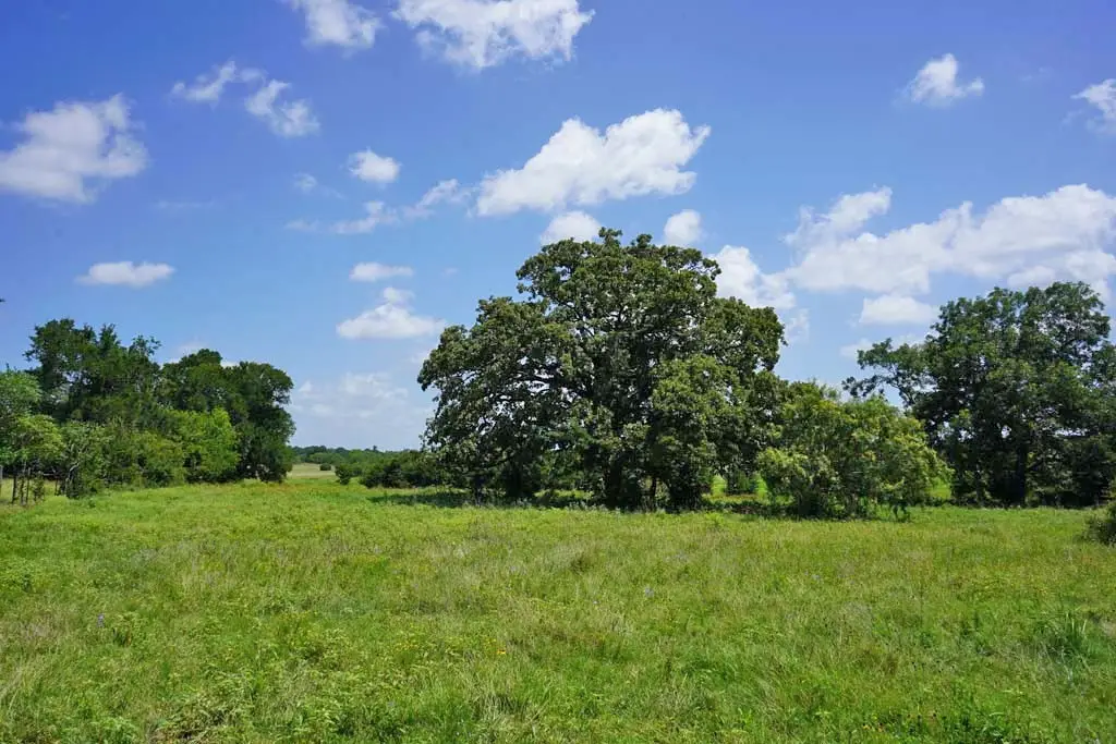 00065 County Road 419, Navasota, TX 77868 - Image #1