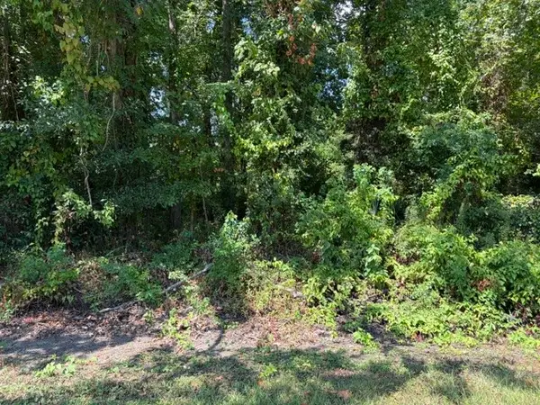 TBD Beaver Den Drive, Coldspring, TX 77331