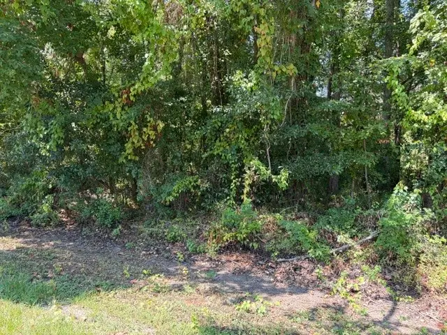 TBD Beaver Den Drive, Coldspring, TX 77331 - #2