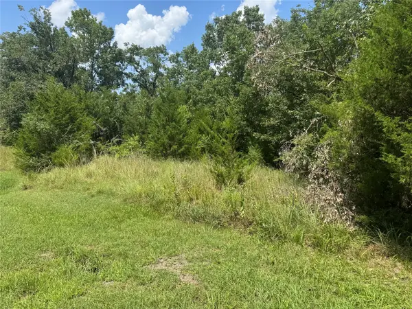 731 N Forest Cove Loop, Coldspring, TX 77331