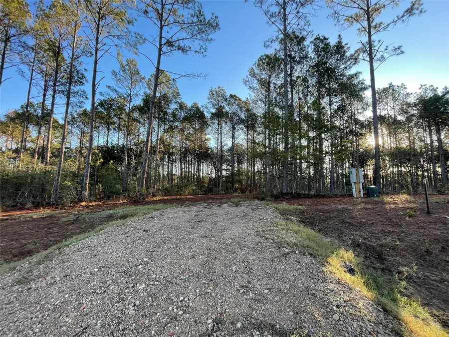 11350 Annie Creek Drive, Willis, TX 77378 - Image #2