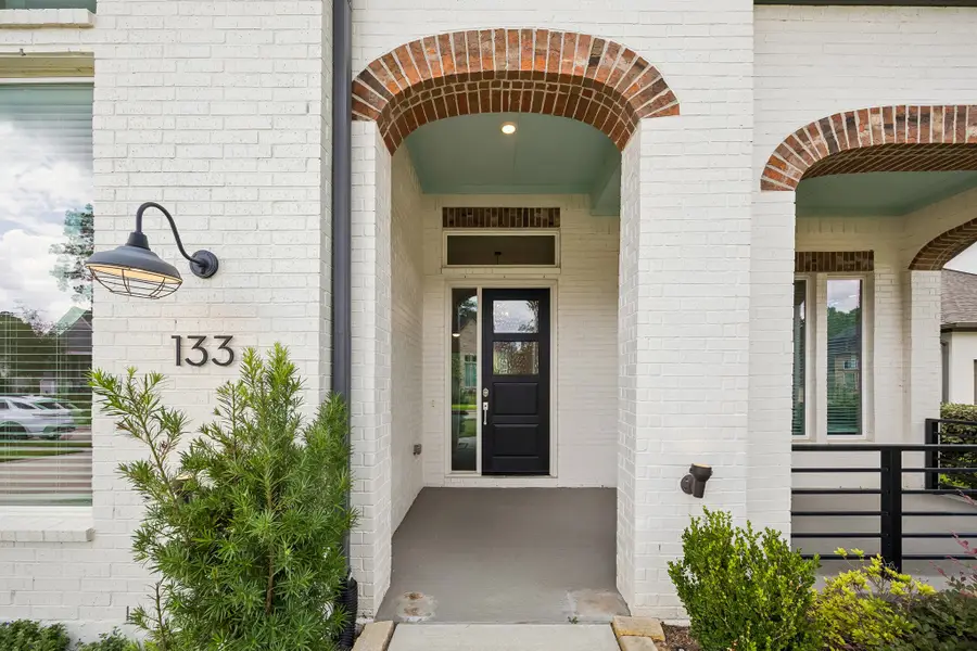 133 Dandelion Way, Montgomery, TX 77316 - #3