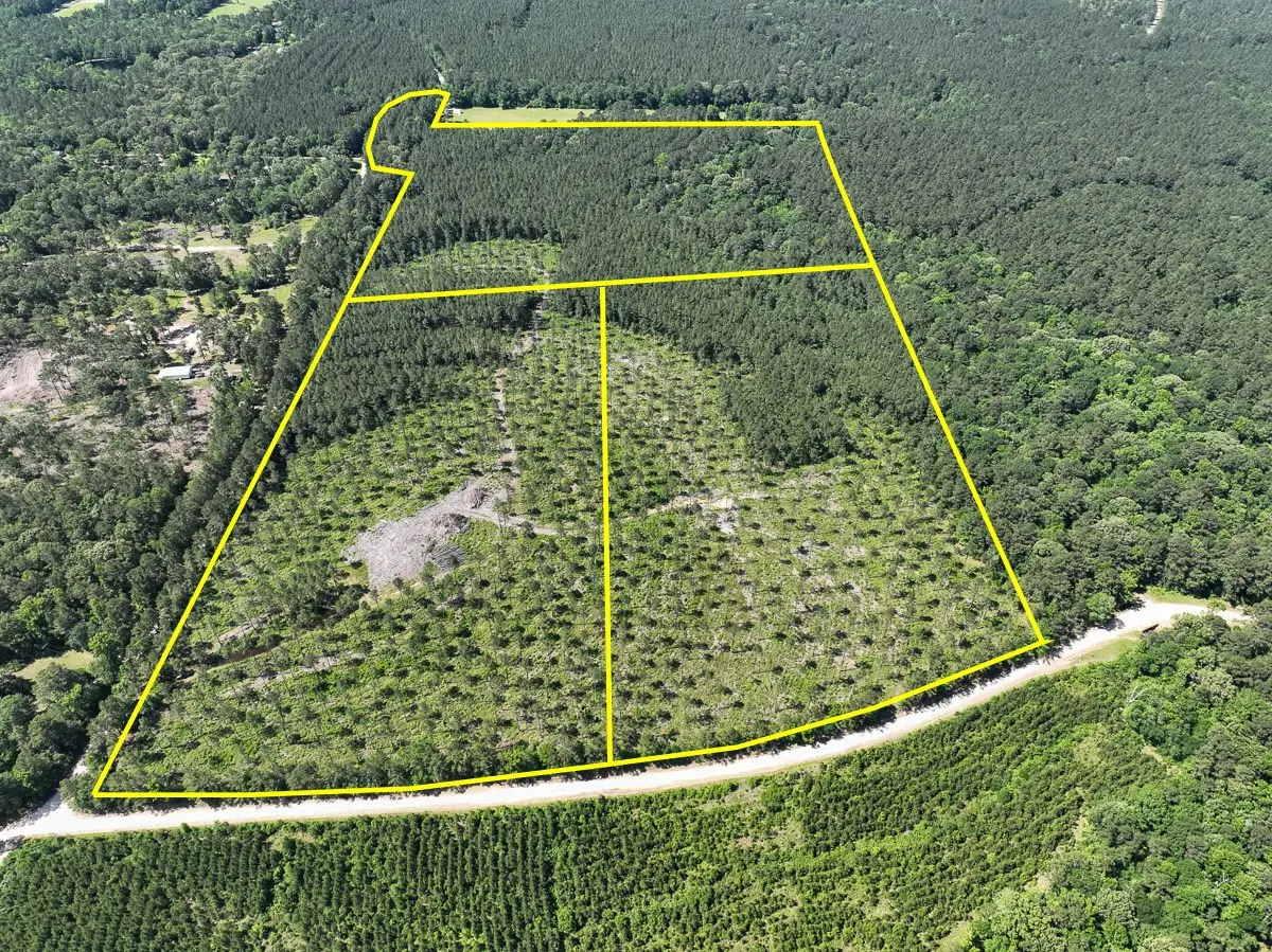 37 Groveton Flat Prairie Rd, Groveton, TX 75854 - Image #1