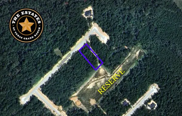 156 Longfellow Road, New Waverly, TX 77358