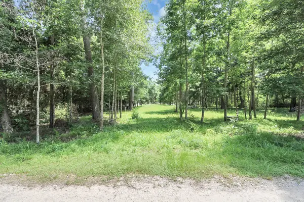 00 Golden Lane, Houston, TX 77336