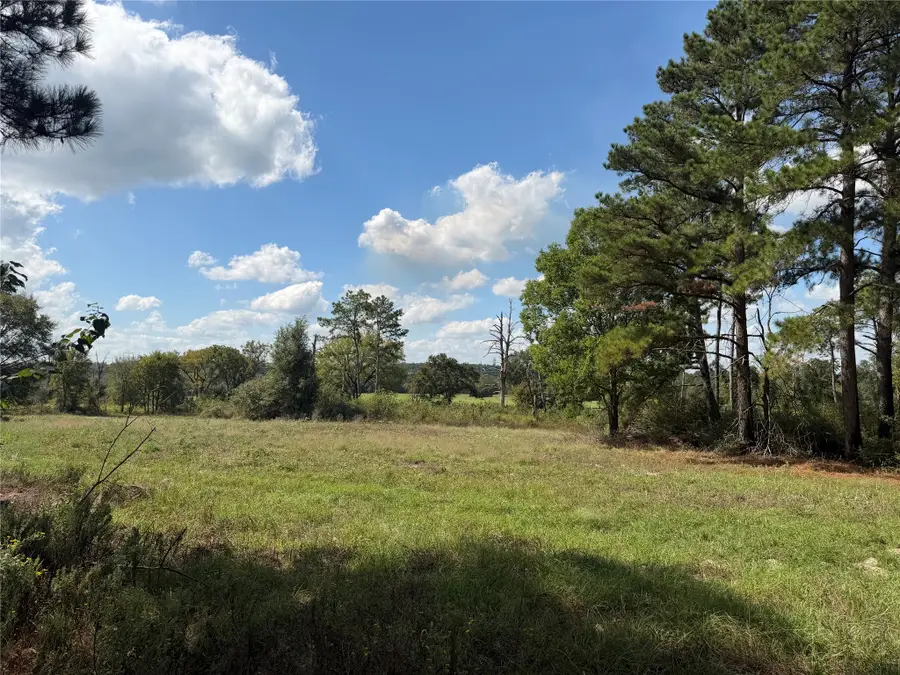 14234 Highway 90 N, Bedias, TX 77831 - #3