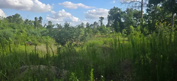 1038 Wall Street, Houston, TX 77088