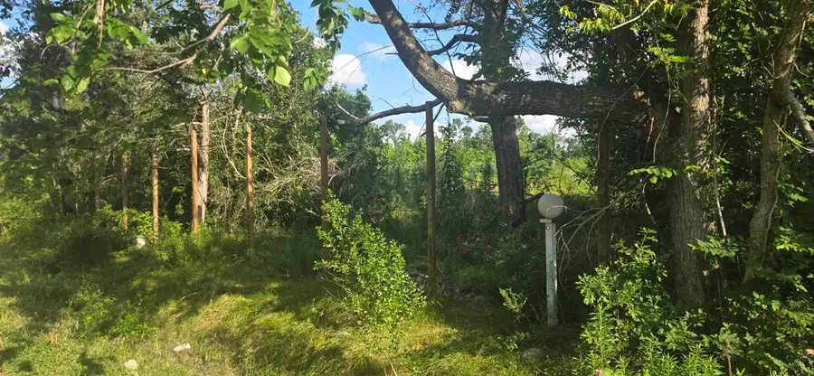 1038 Wall Street, Houston, TX 77088 - Image #2