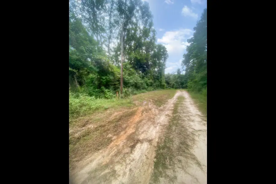 0 Road 2741, Cleveland, TX 77327 - Image #3