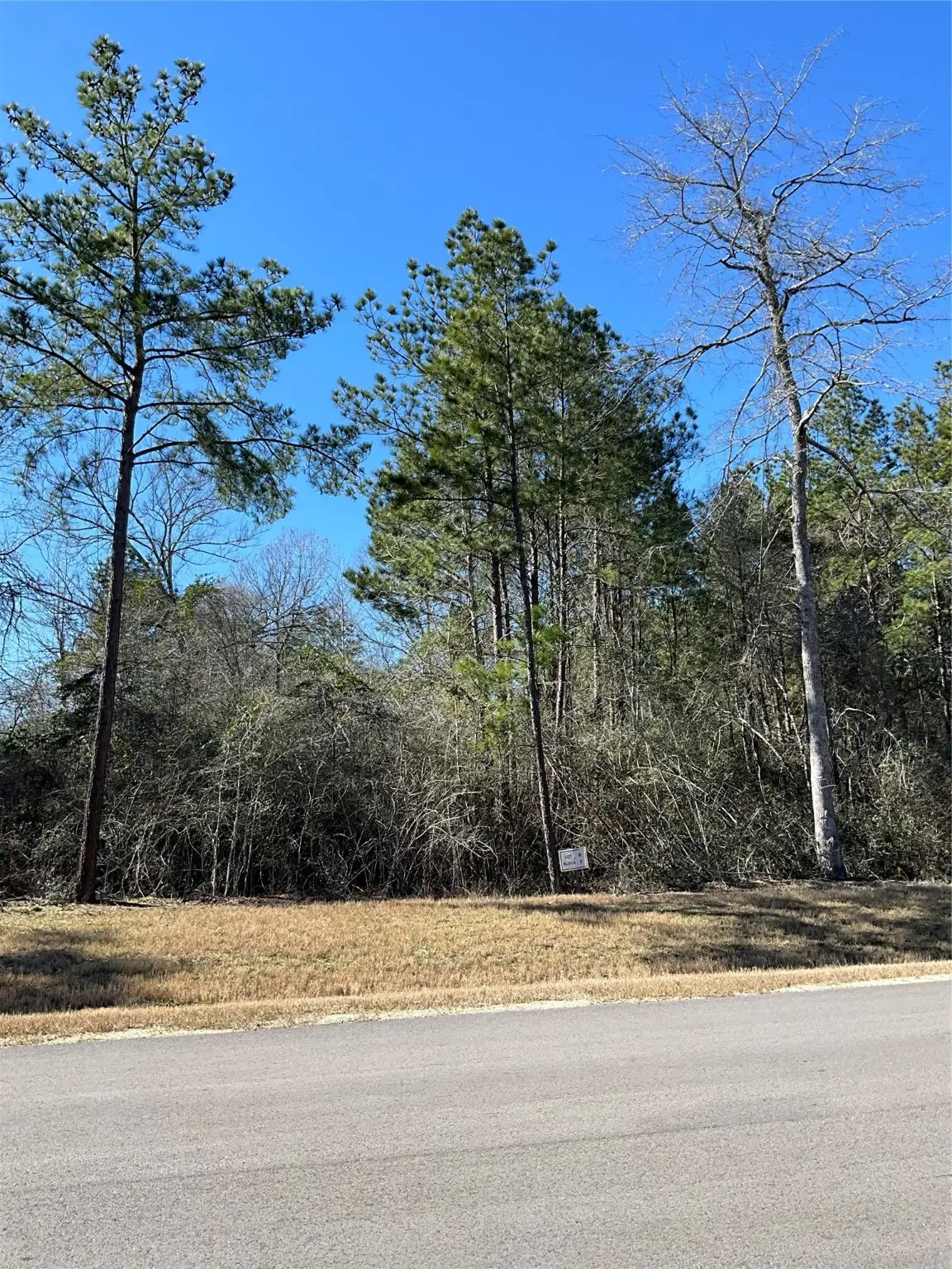 341 Exploration Road, Willis, TX 77378 - Image #1