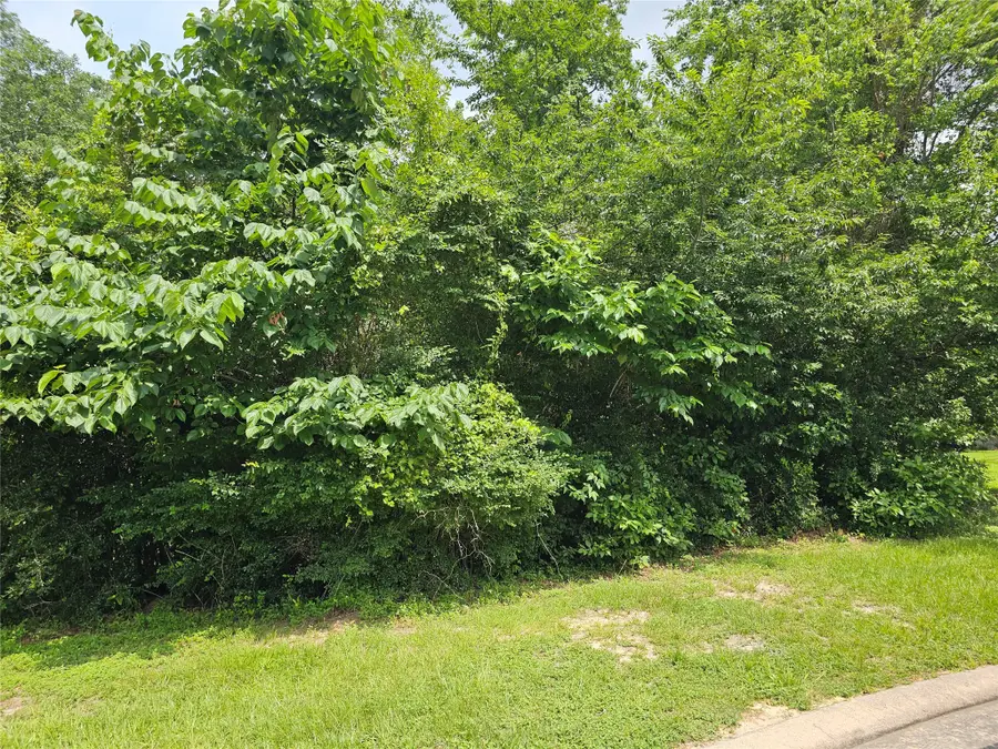 3&4 Broadmoor Court, Conroe, TX 77304 - Image #3