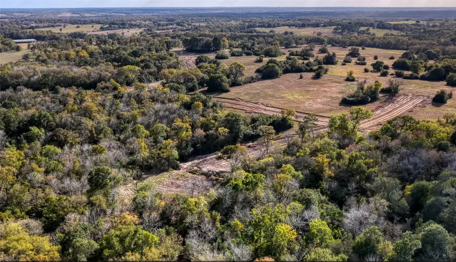 9 Prairie Blossom Way, Brenham, TX 77833 - Image #3