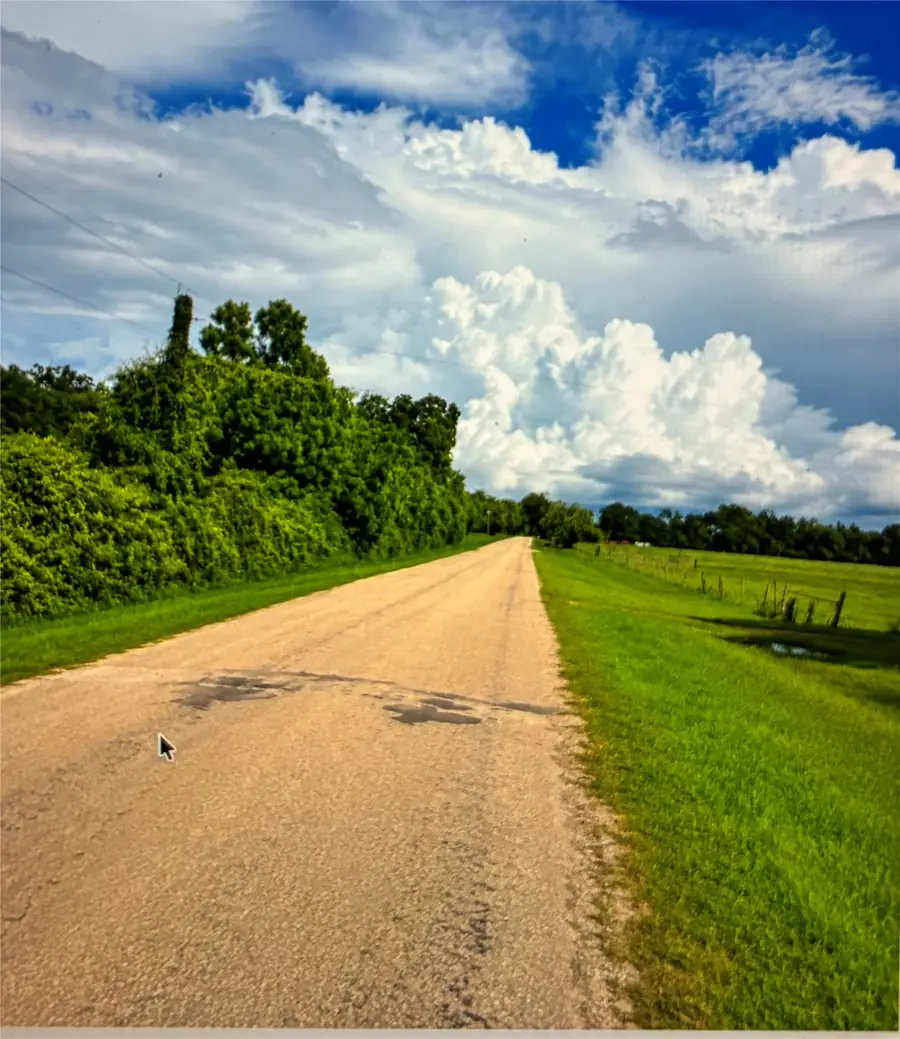 11410 County Road 160 Road, Boling, TX 77420 - #2
