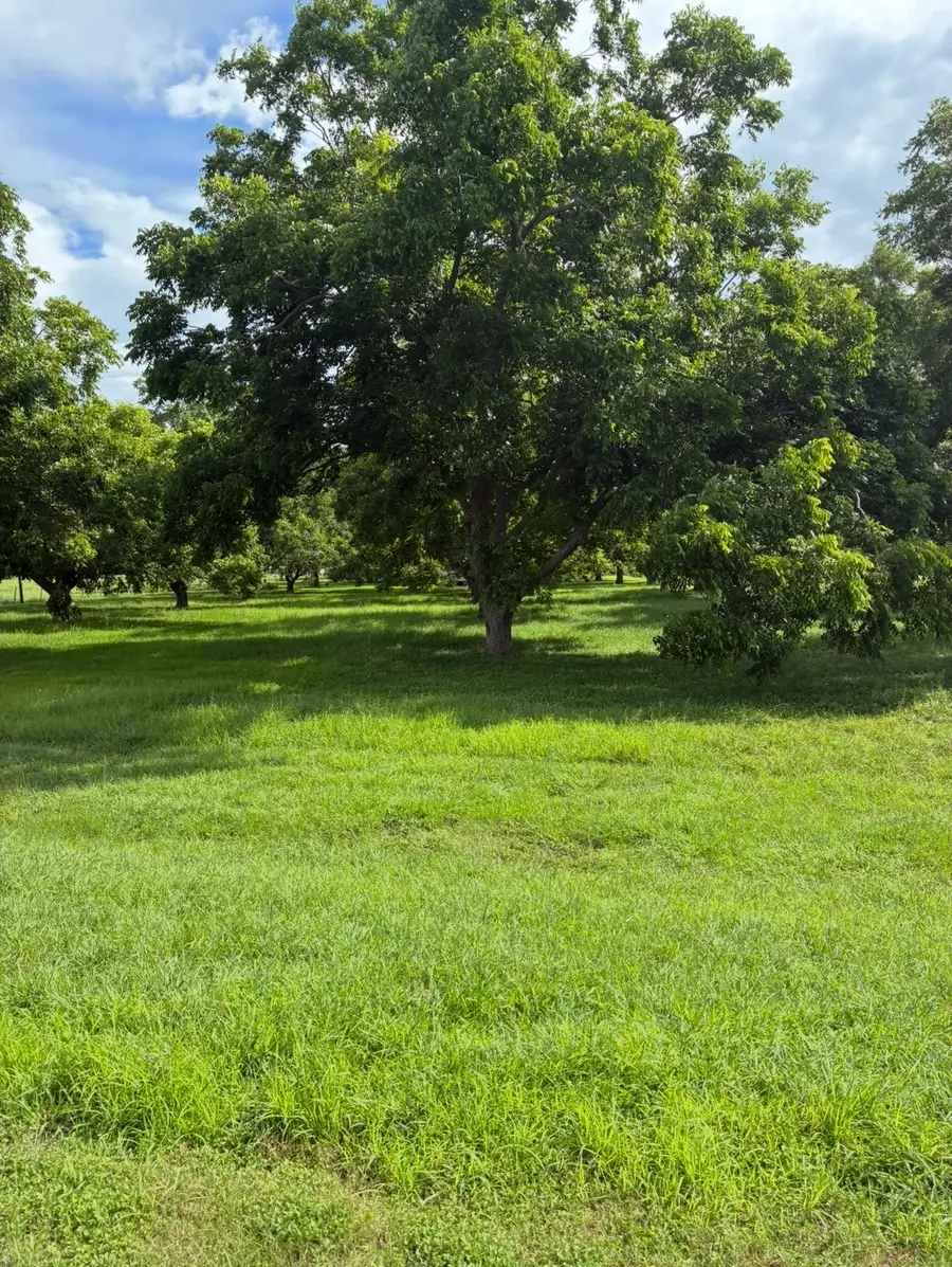 11410 County Road 160 Road, Boling, TX 77420 - #3
