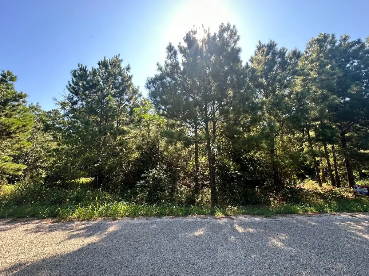 0 Alum Creek Road, Smithville, TX 78957 - Image #1