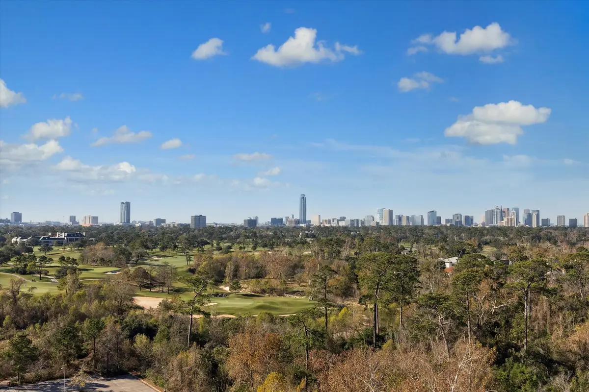 101 Westcott Street #1202, Houston, TX 77007 - Image #1