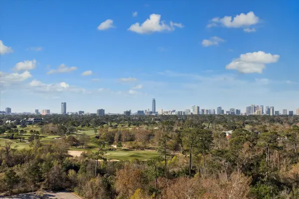 101 Westcott Street #1202, Houston, TX 77007