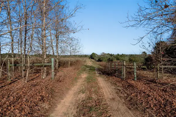 TBD County Road 204, Centerville, TX 75833