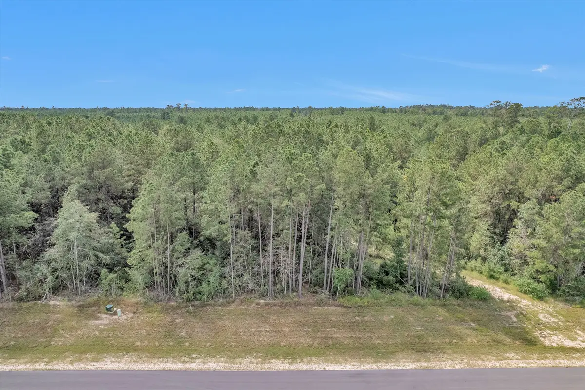 11976 Highbranch Way, Willis, TX 77378 - #1