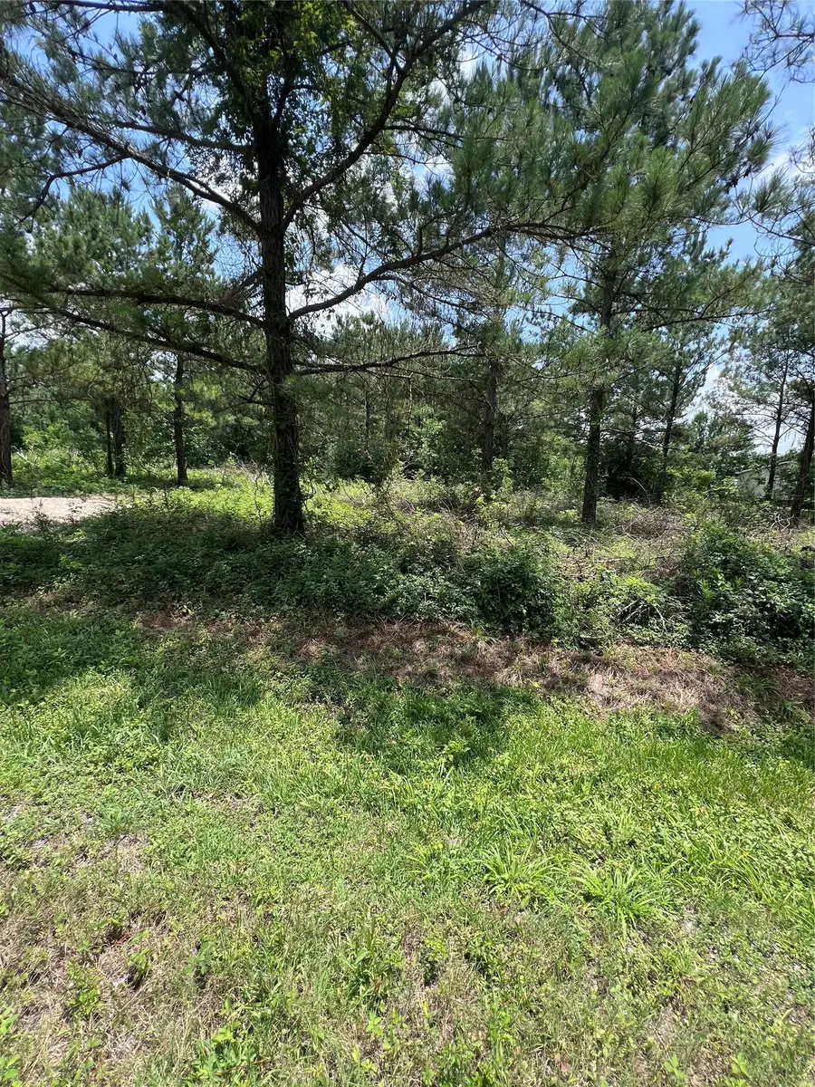 175 County Road 4873, Dayton, TX 77535 - #2