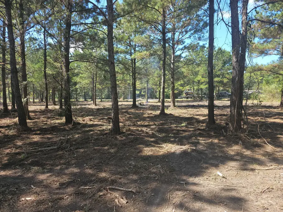 175 County Road 4873, Dayton, TX 77535 - #3