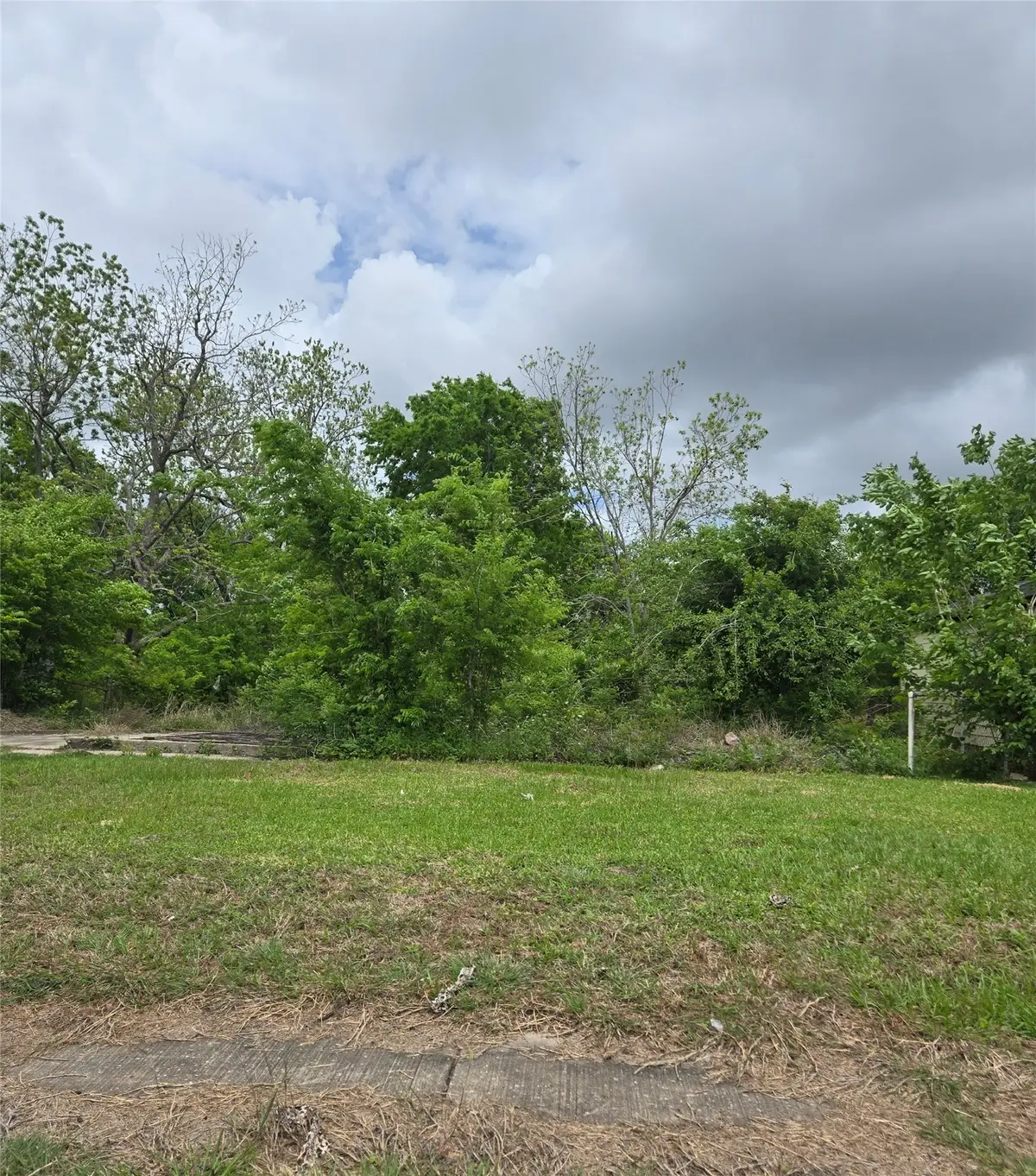 5021 Airport Boulevard, Houston, TX 77048 - #1
