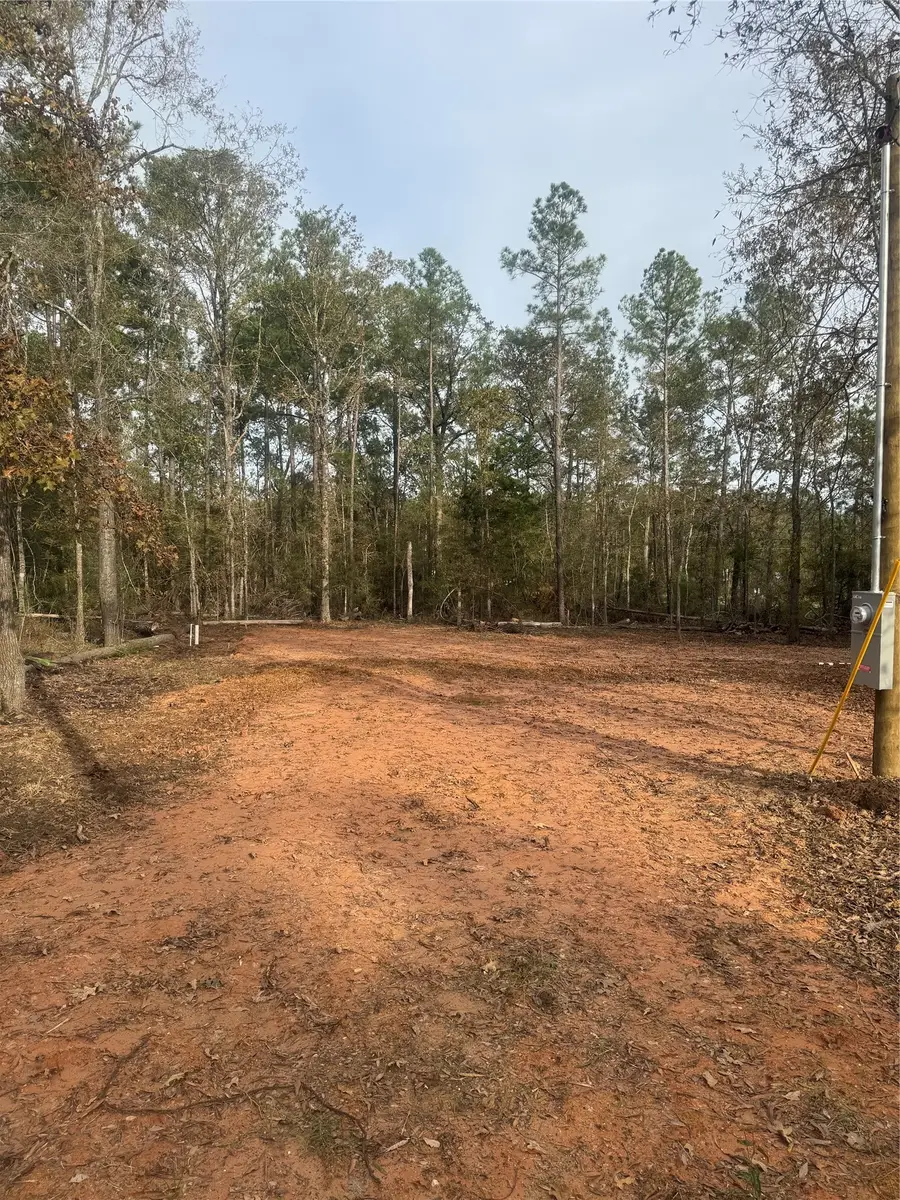 197 Alta Vista Drive, Livingston, TX 77351 - #3