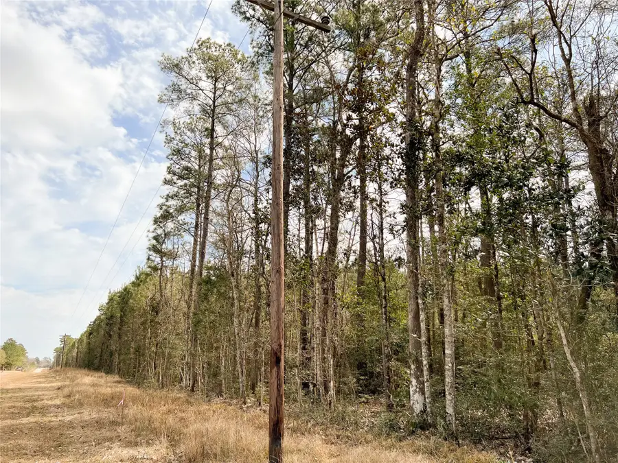 00000000 Fm 1746, Spurger, TX 77660 - Image #2