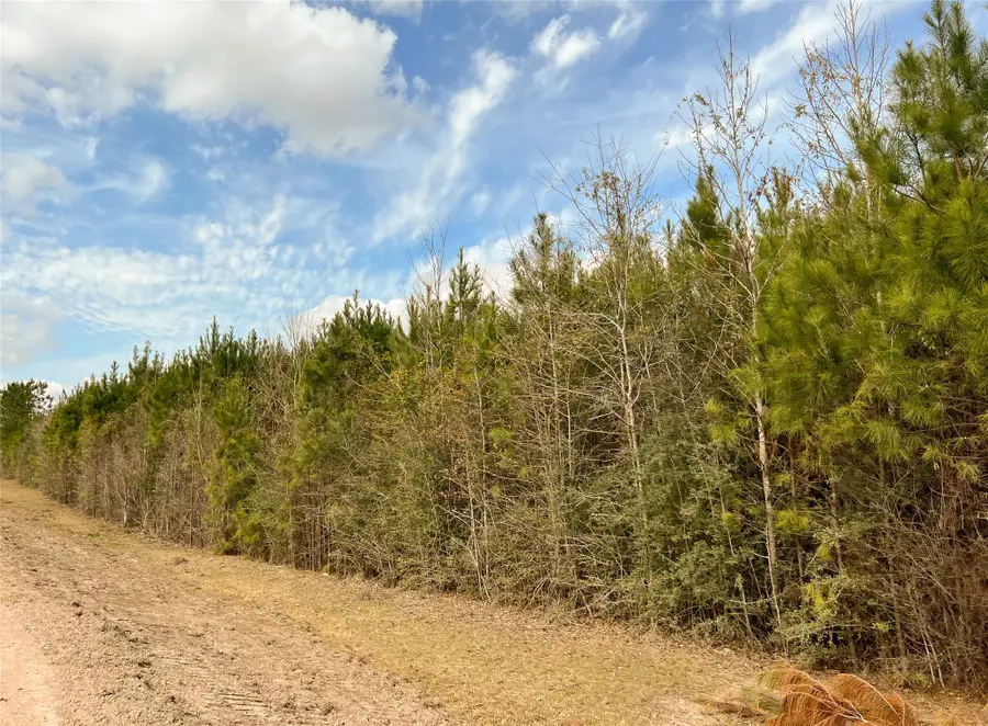 00000000 Fm 1746, Spurger, TX 77660 - Image #3