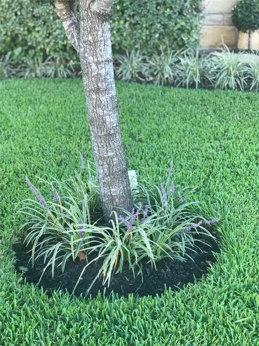 4411 Indian Gardens Way, Humble, TX 77396 - #3