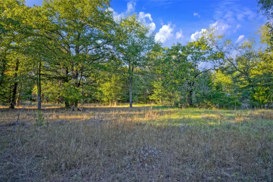45 Acres Fcr 930, Teague, TX 75860 - #2