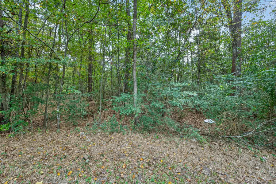 Lot 410 North Woods, Cleveland, TX 77328 - Image #2